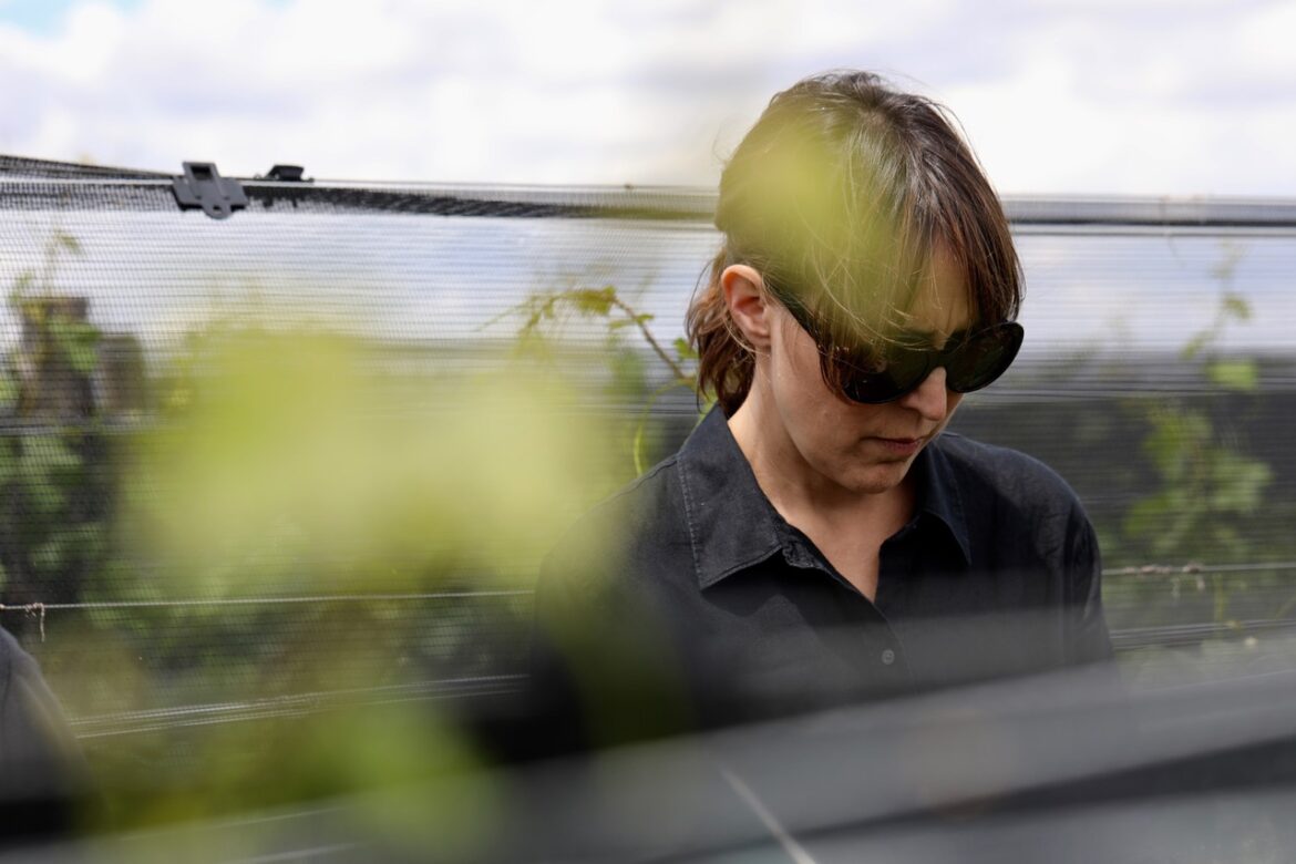 Where are they now? Marina Gayan MW’s Journey as South America’s first Master of Wine Marina Gayan MW transformed Argentina’s wine industry, taking it from local beginnings to international recognition. Her journey from young marketer to South America’s first Master of Wine reveals how vision, risk-taking, and persistence helped shape the global success of Argentine wine.