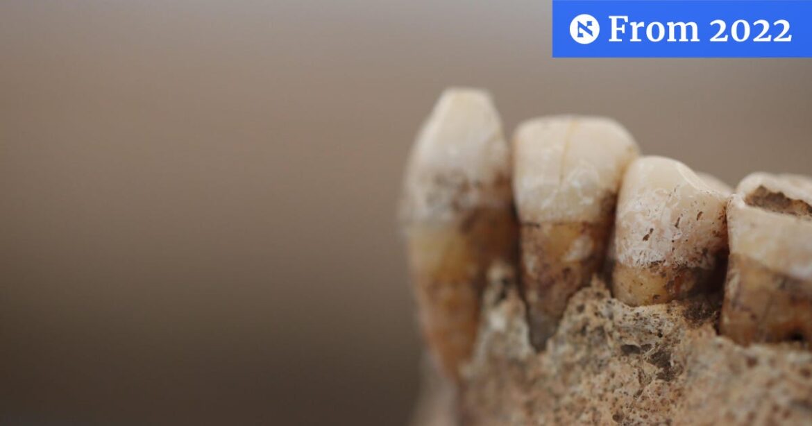 New Study Shows the Evolution of Eating in Italy New Study Shows the Evolution of Eating in Italy