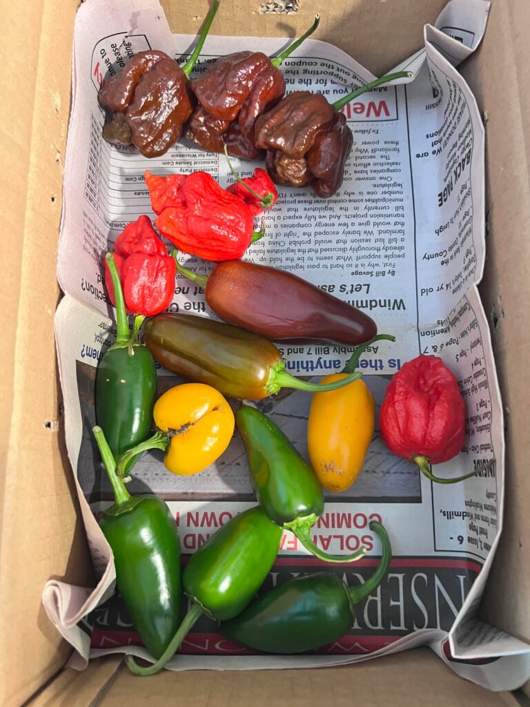 Made my first sauce last week