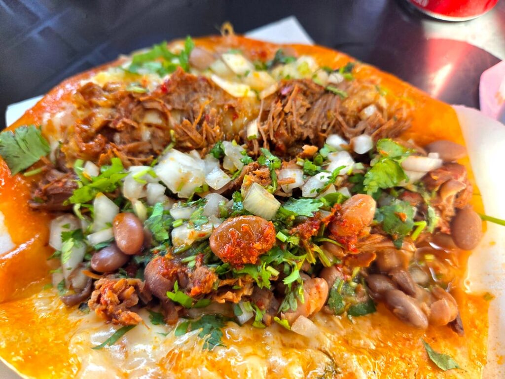 Tijuana quesabirrias are a total knockout