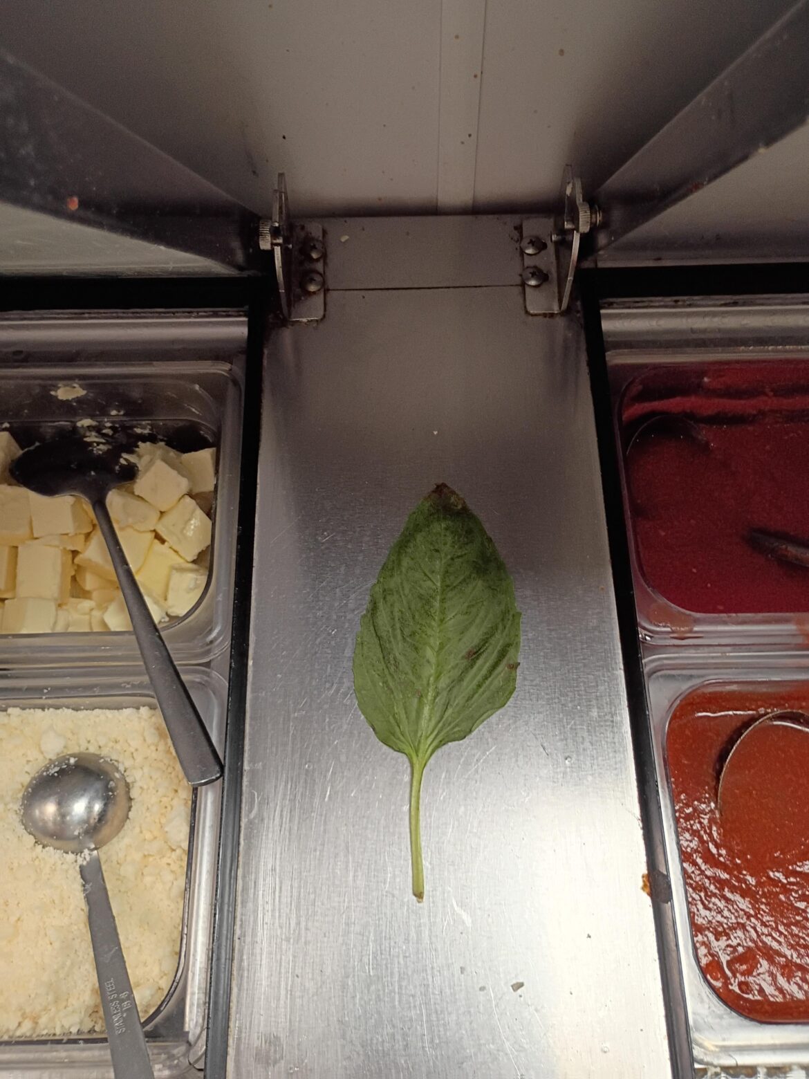 This is the emotional support basil. It must be protected at all costs.