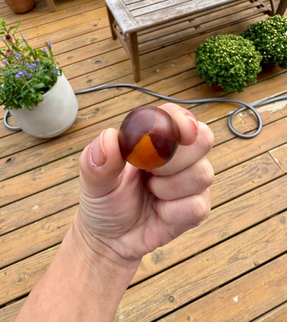 Neat anthocyanin development