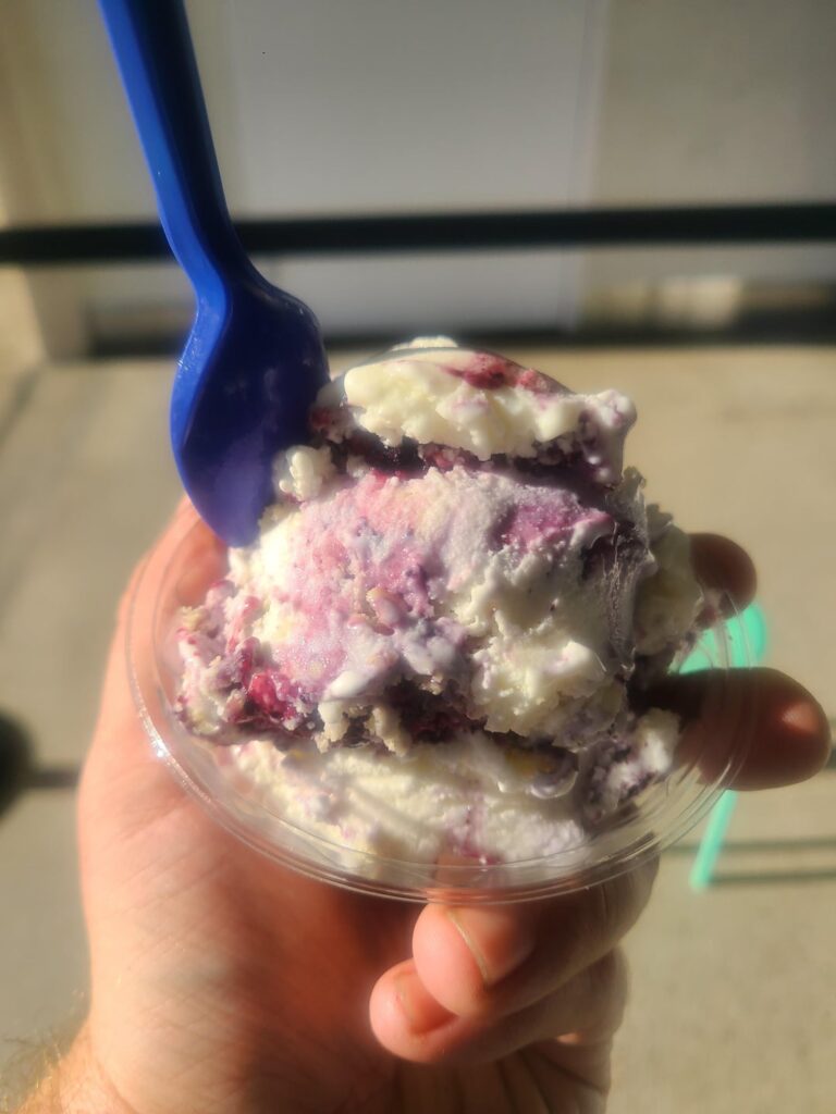 Handel’s Ice Cream – $ Handel's Ice Cream - $