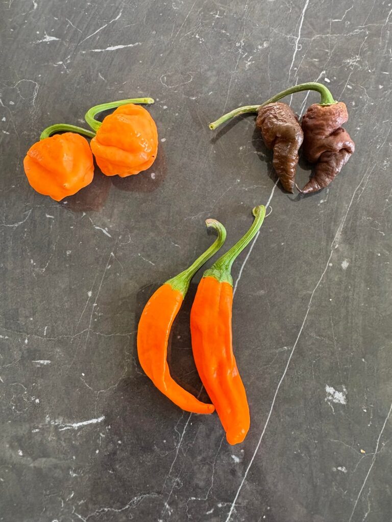 Finally harvesting! (Denmark, northern Europe) Finally harvesting! (Denmark, northern Europe)