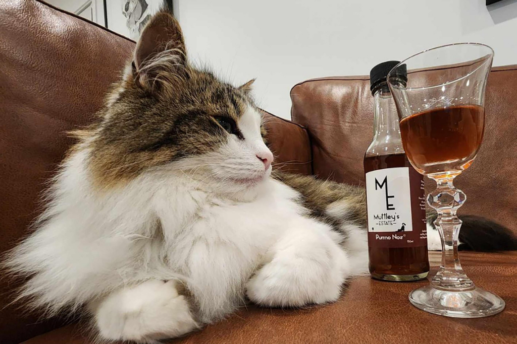 Muttley’s Estate from New Zealand sells pet-friendly wine using catnip, a herb known to make cats more playful, while helping dogs relax.