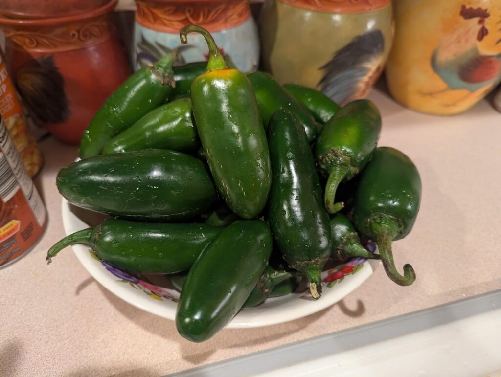 Armadillo eggs for a party at a friend's house.