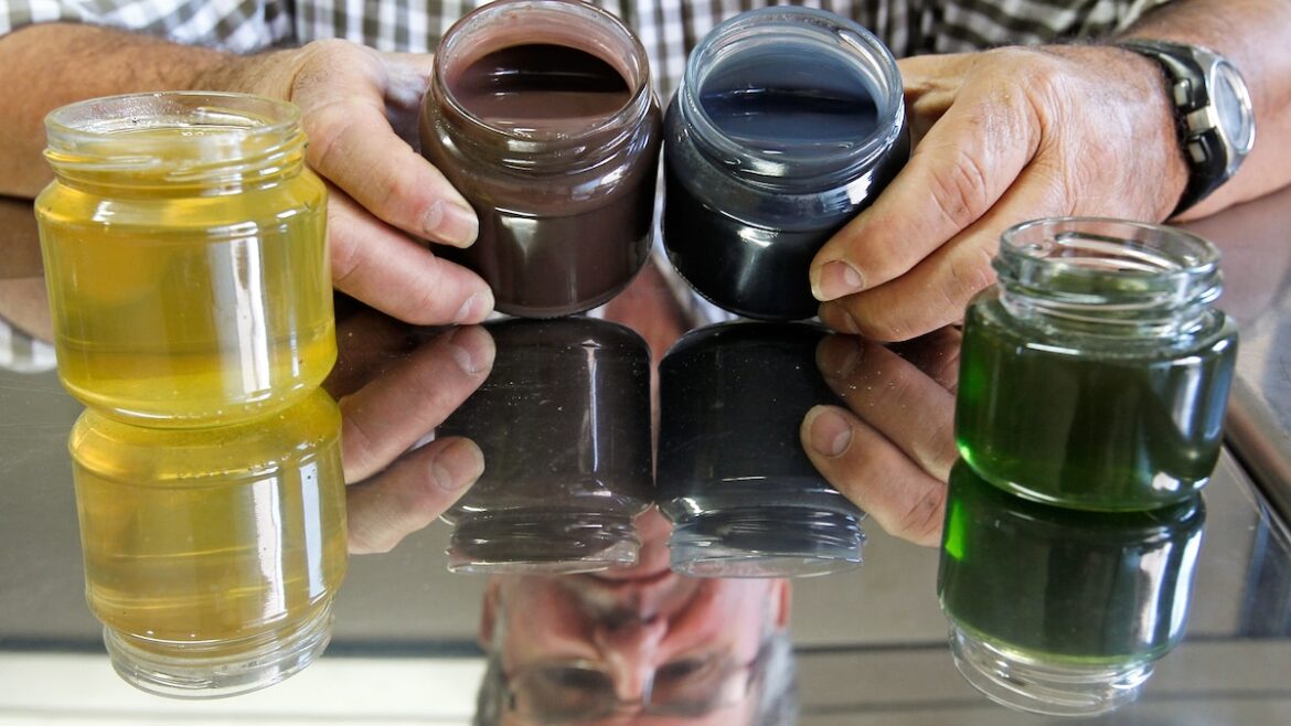 Pictures: Colored Honey Made by Candy-Eating French Bees