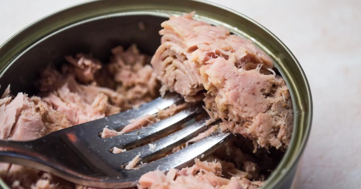What do we eat when we eat a can of tuna?