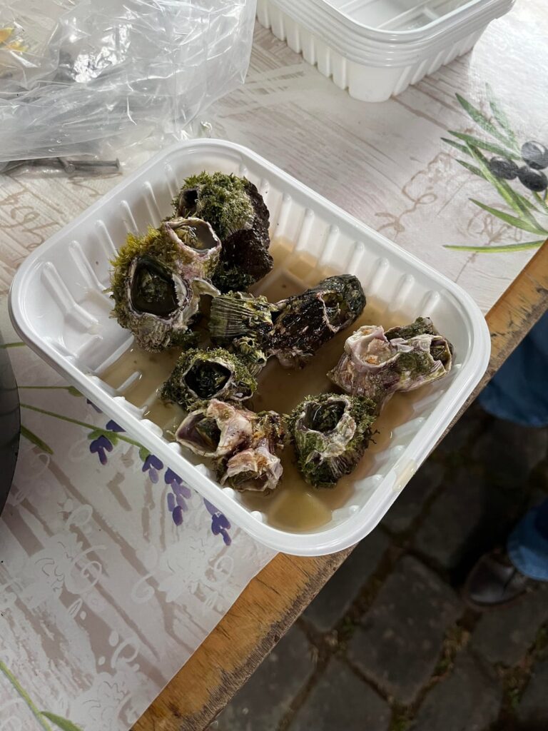 Cracas in Terceira, Azores