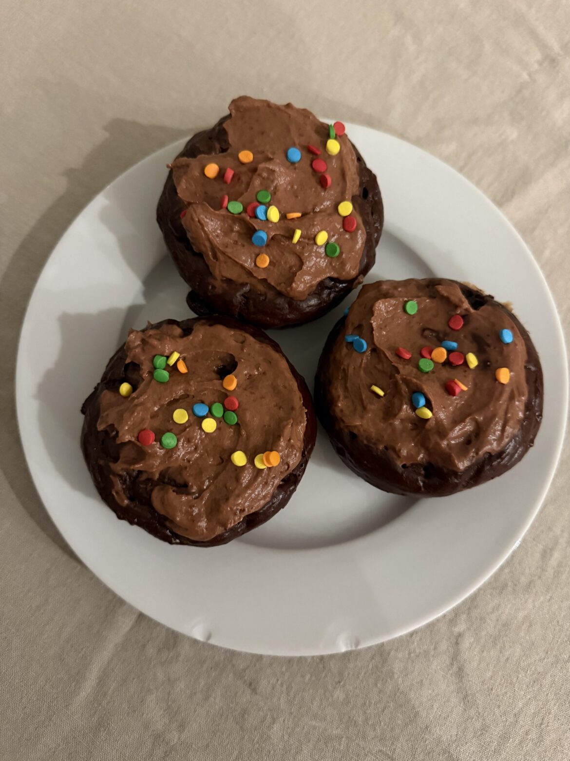 These chocolate donuts were DISGUSTING (125 cals, 14g protein for 1)