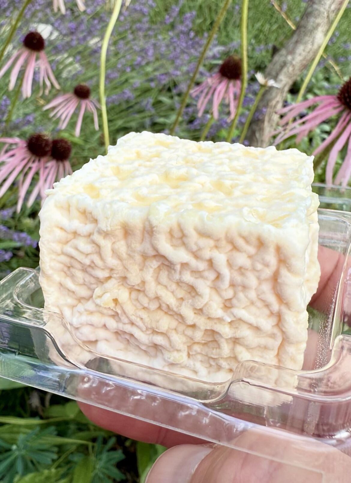 3rd Gold in a Year? Party on!