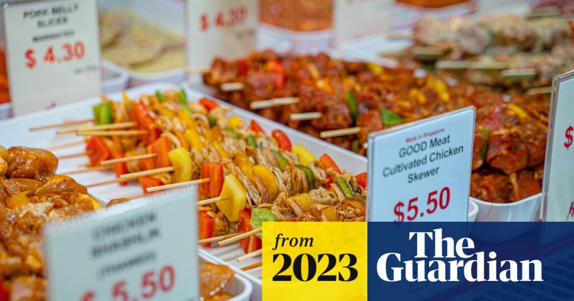 Italian plan to ban lab-grown food criticised as misguided | Italy