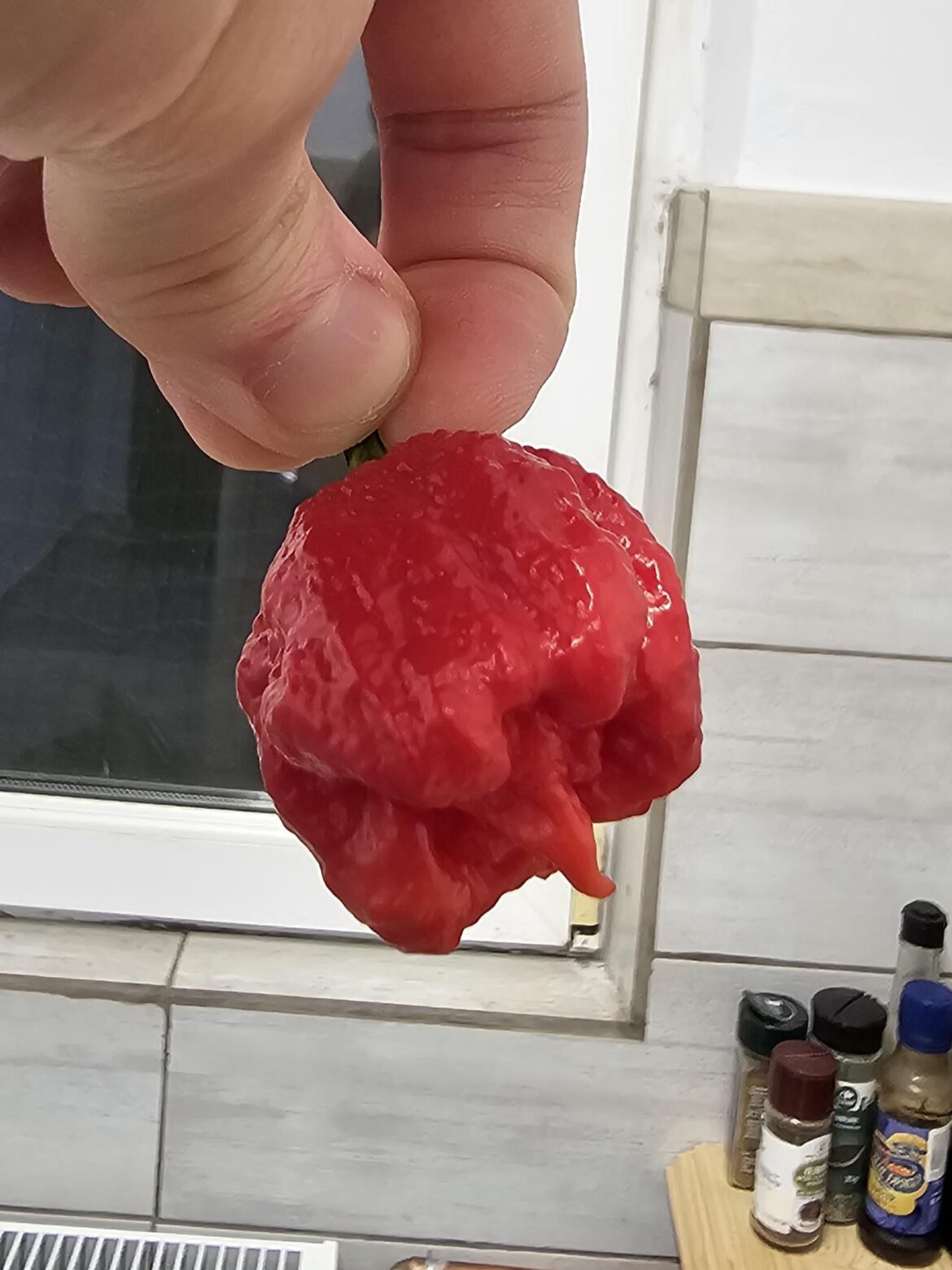 First time I find these at the local store, what are they?