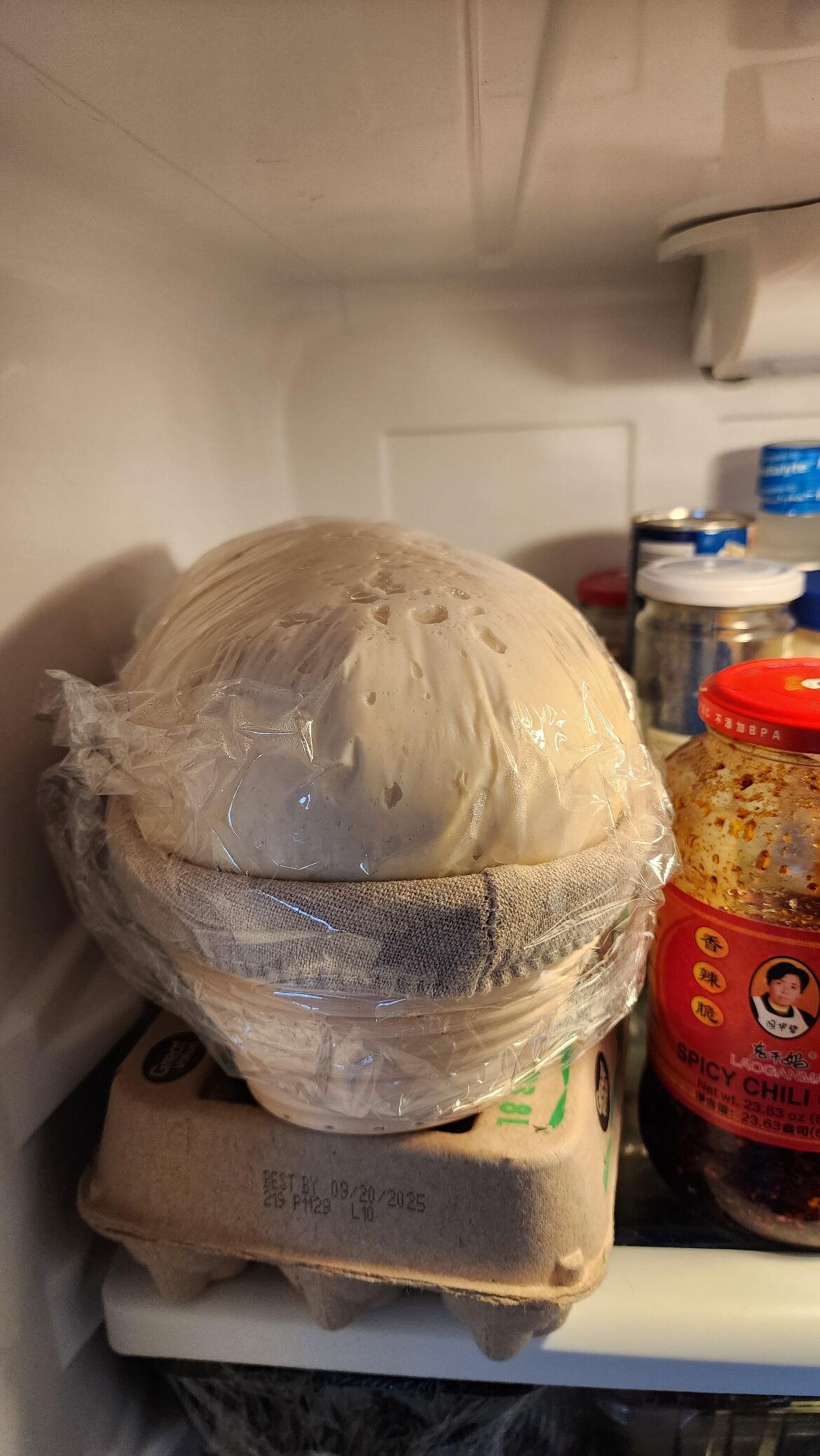I put my dough in the fridge for the cold proof and it rose tremendously after 3 hours. I've never had this happen