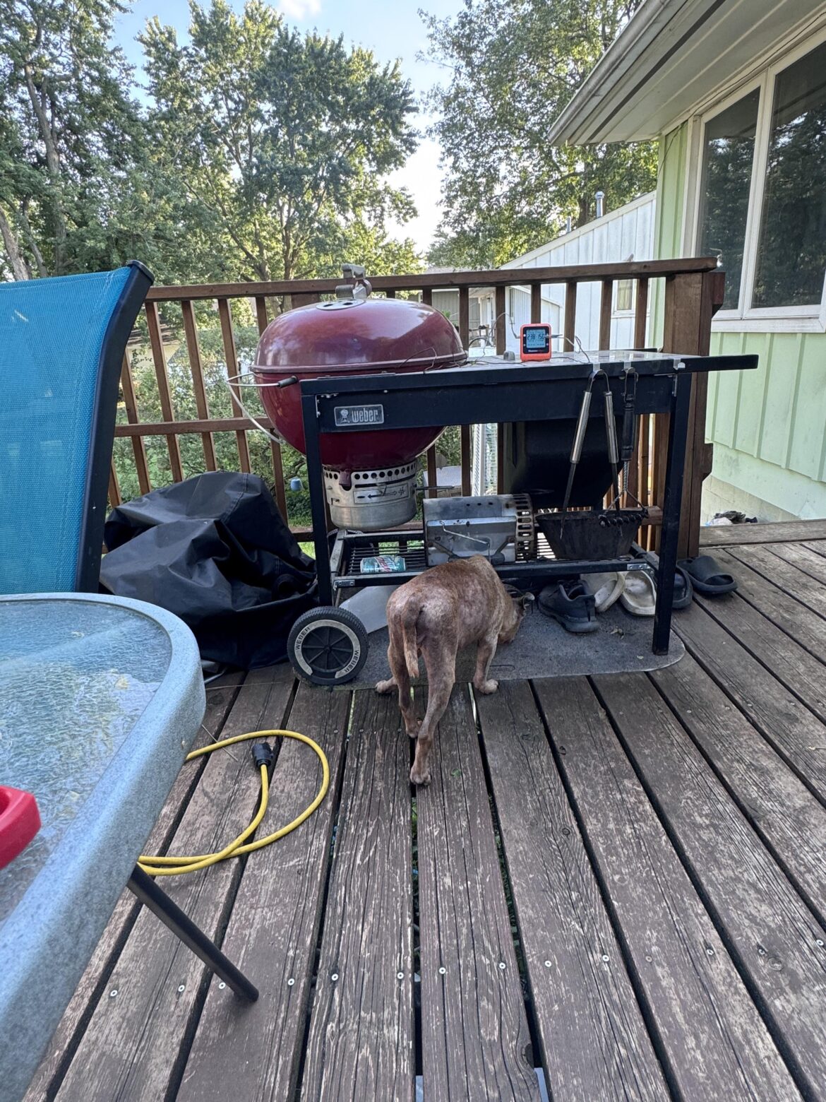 Smoking burgers on the SSP