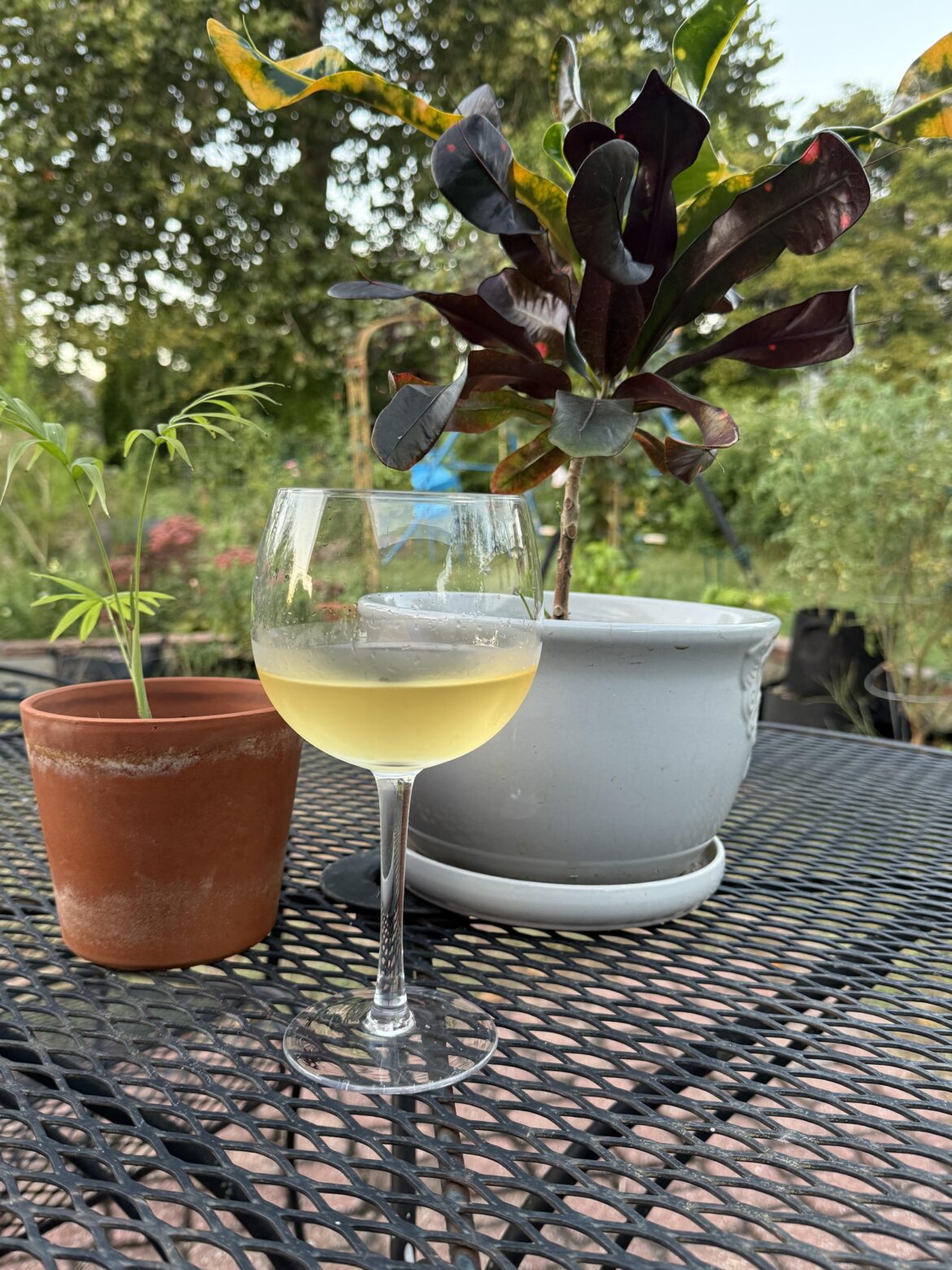 2022 Domaine Chante Cigale Chateauneuf-du-Pape Blanc 2022 Domaine Chante Cigale Chateauneuf-du-Pape Blanc