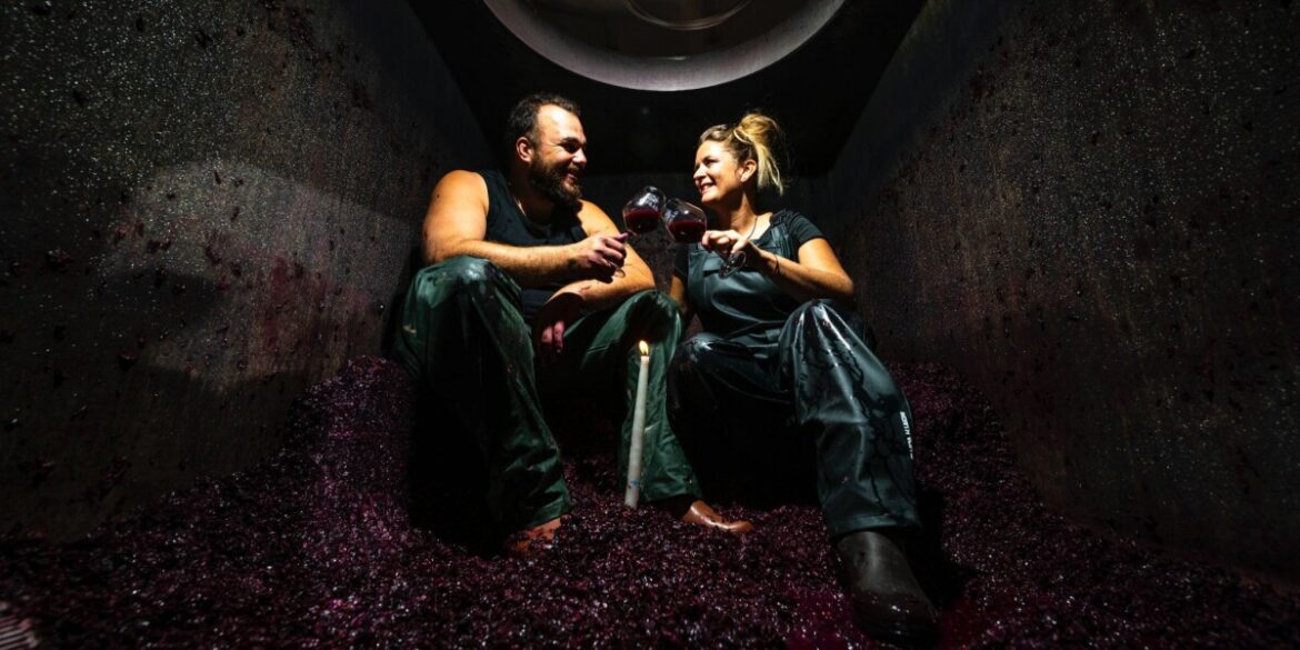 Sustainable Wine Production with Draft Horses in Bandol Sustainable Wine Production with Draft Horses in Bandol