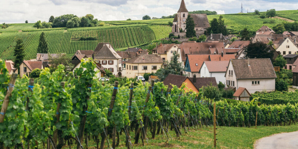 Study reveals higher pesticide exposure near French vineyards Study reveals higher pesticide exposure near French vineyards