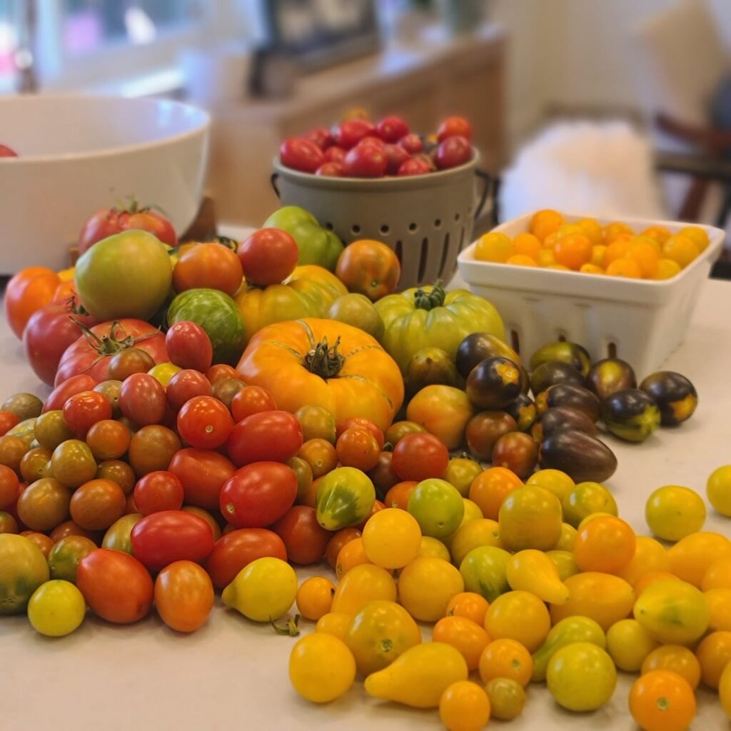 It's officially getting out of hand...