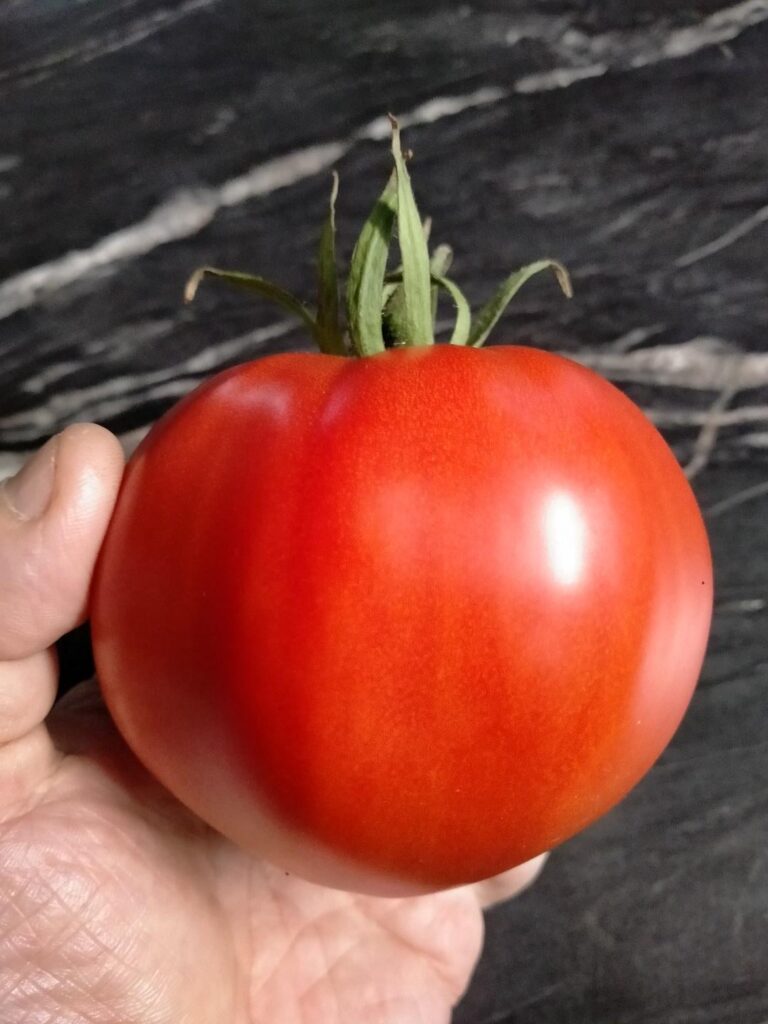 First pick of the season