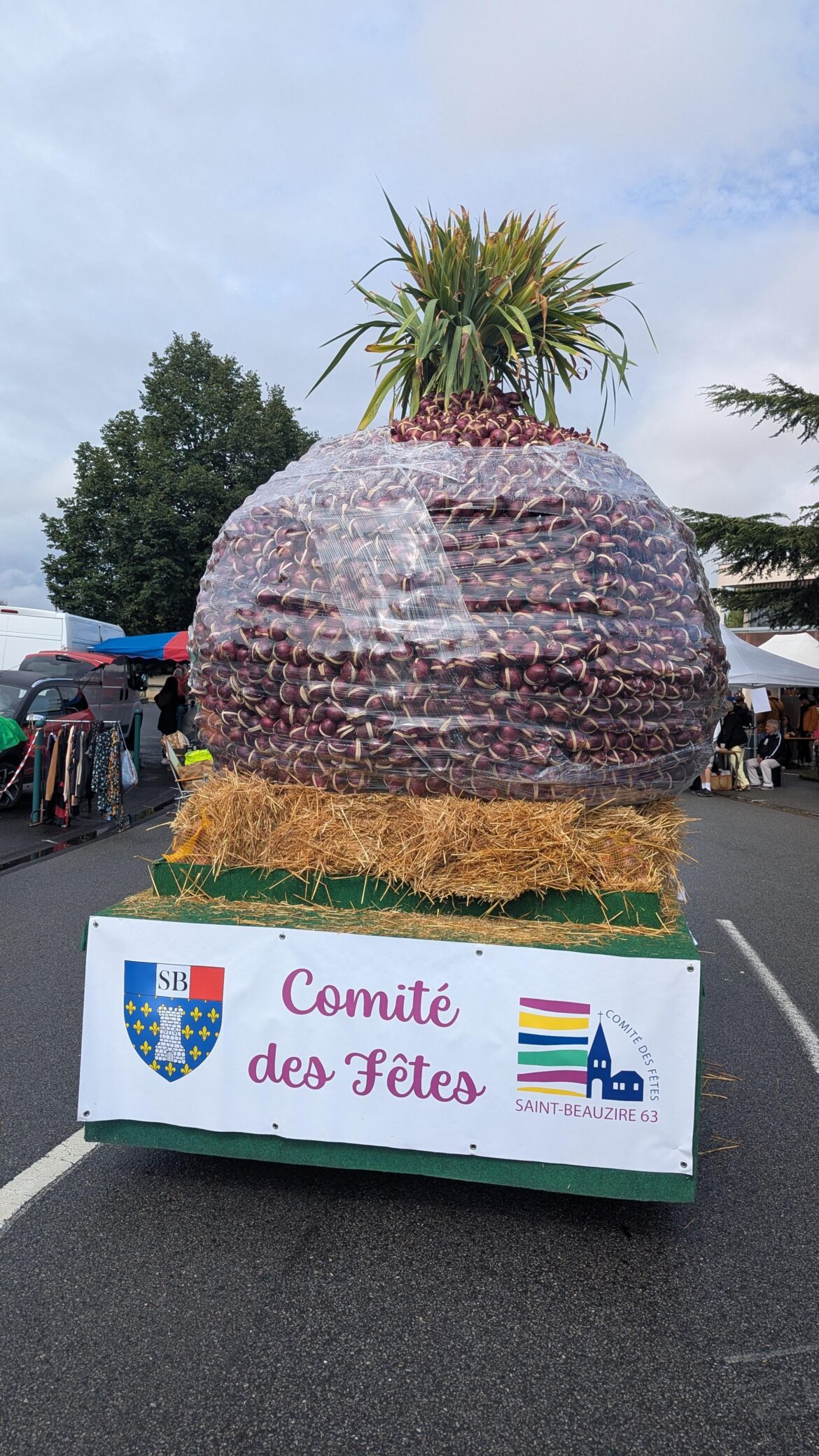 Giant Onion made with Onions