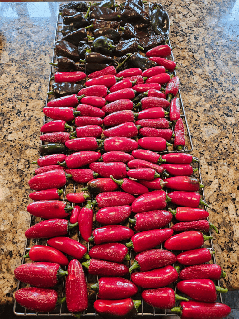 Future chipotles and anchos going in the smoker.