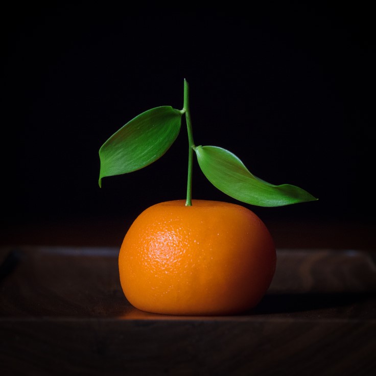 © Dinner by Heston Blumenthal/John Scott Blackwell