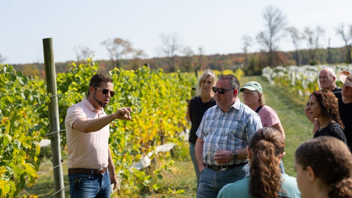 New Jersey wine events highlight industry's growth