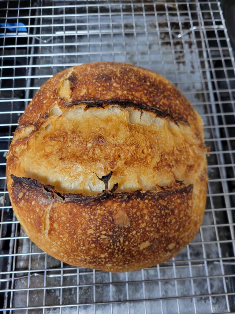 My first loaf. It’s good, but is it right? My first loaf. It's good, but is it right?