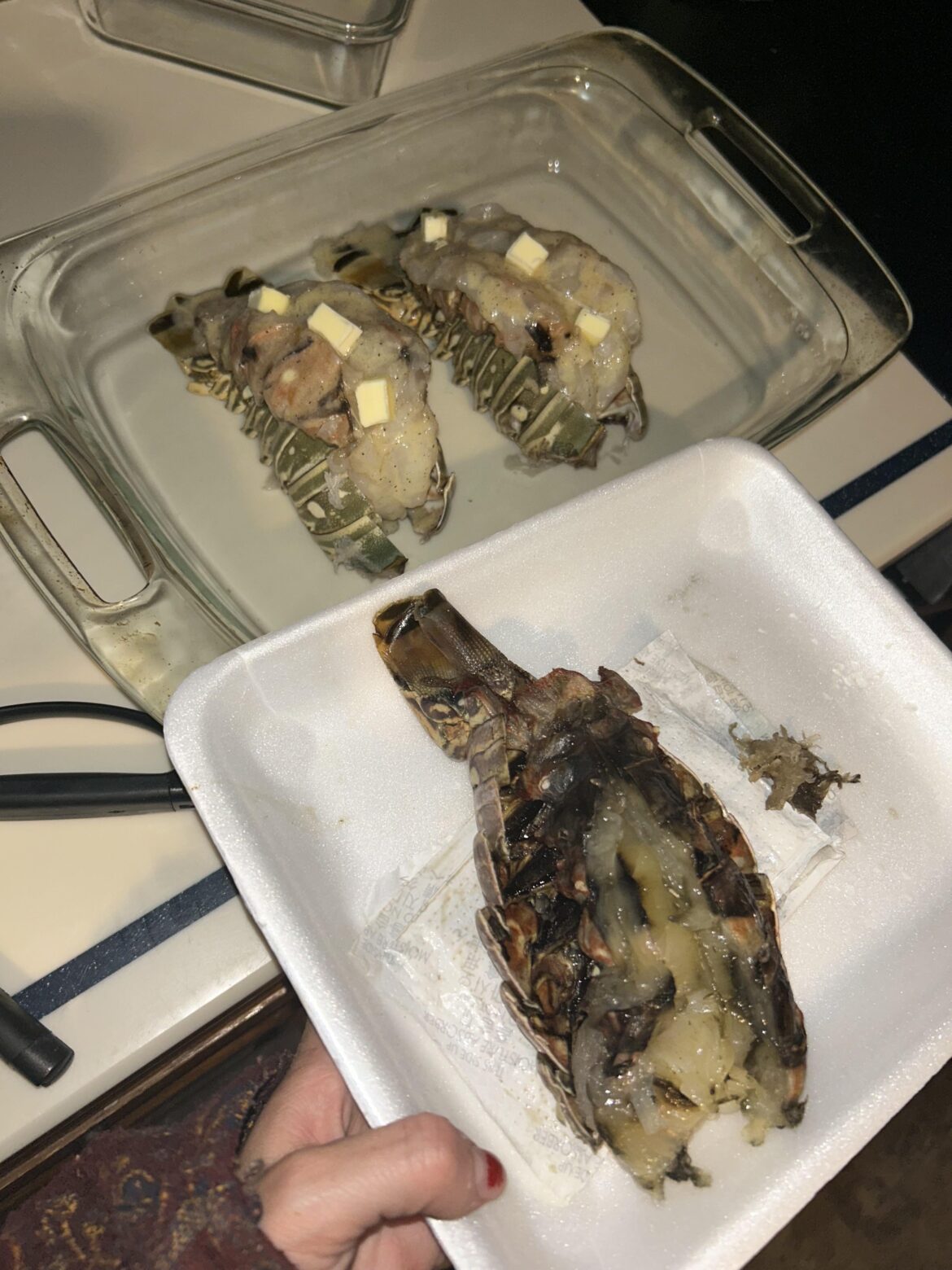 black lobster from costco black lobster from costco