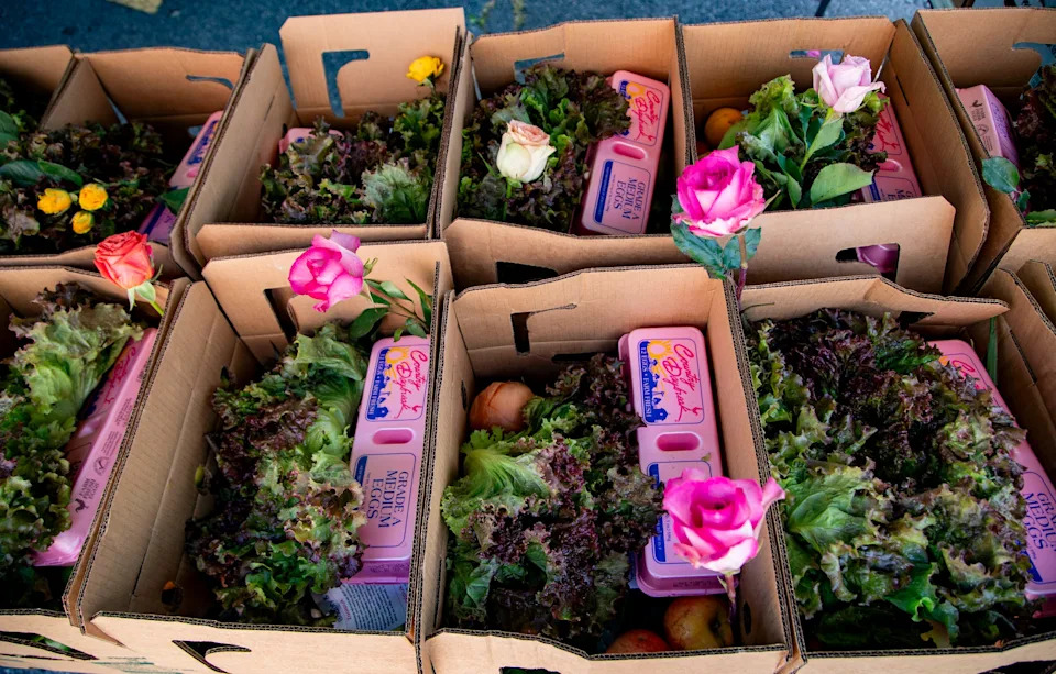 Boxes of produce sit underneath a tent during a Bounty & Soul food distribution event in Black Mountain, Sept. 18, 2025.