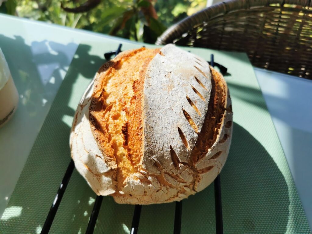 My cousin is gluten intolerant, haven't been able to see him in a decade. I thought I'd surprise him with a bread, but I've never tried baking a glutenfree one before. I'm kinda nervous. Hopefully, it's tasty and he'll like it. Wish me luck! I don't wanna dissapoint him. x)