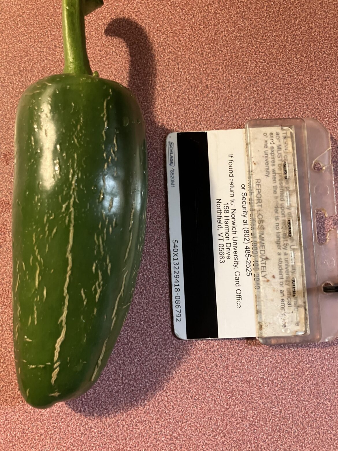 Not your average jalapeño