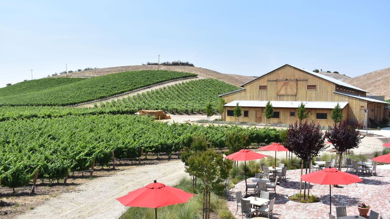 A view of a lush green vineyard in rolling hills at an upscale winery in Paso Robles, California