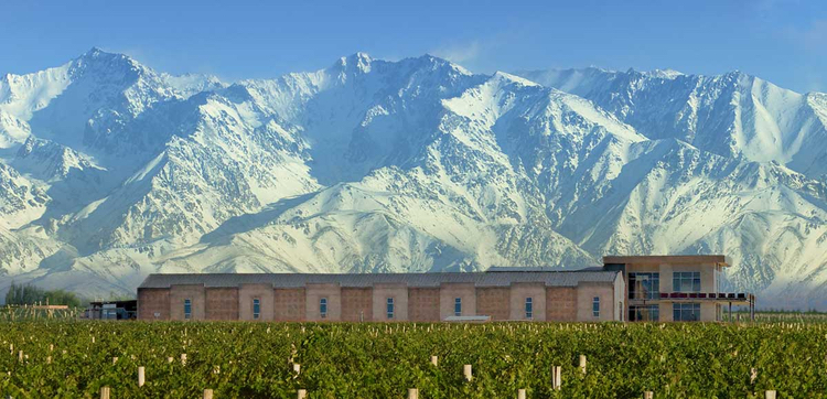 The Argentine Andes form a spectacular backdrop for Domaine Bousquet's estate in the Tupungato, Uco Valley, Mendoza wine region. 