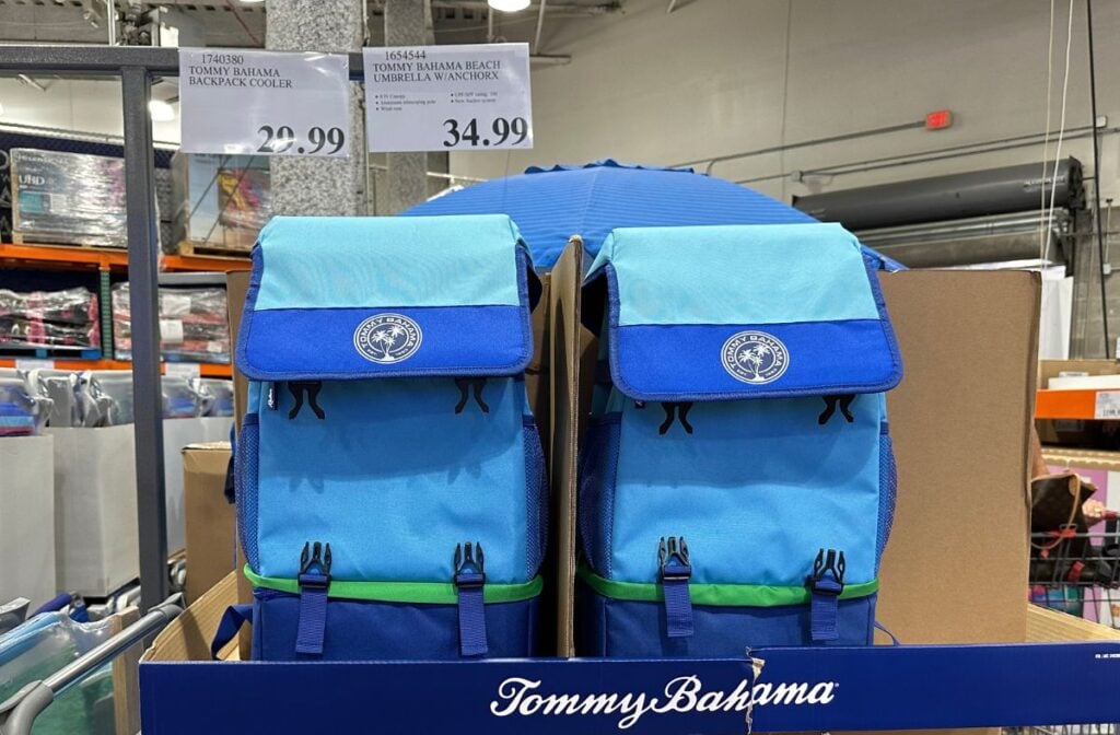 Costco Backpack Cooler