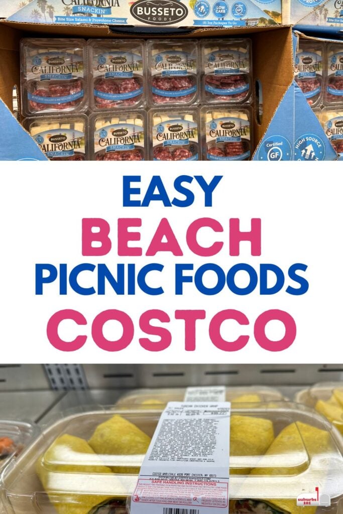 Costco Beach Picnic Foods