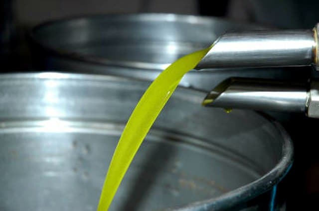 olive oil.
