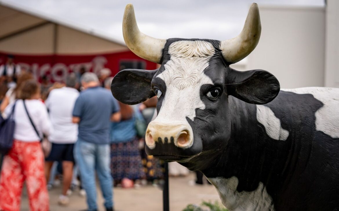 south melbourne market burrata festival