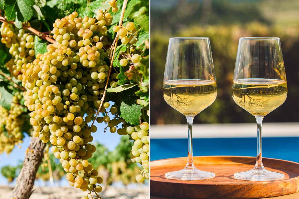 The Biggest Misconceptions About American Chardonnay The Biggest Misconceptions About American Chardonnay