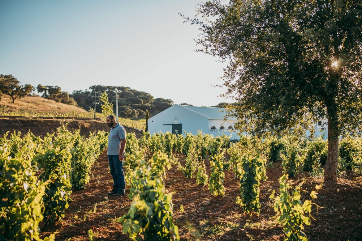 Luísa Amorim on Portugal’s future