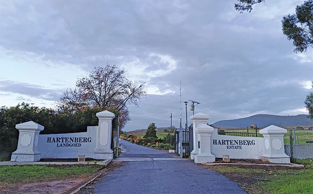 Lessons from SA’s first regenerative verified wine farm