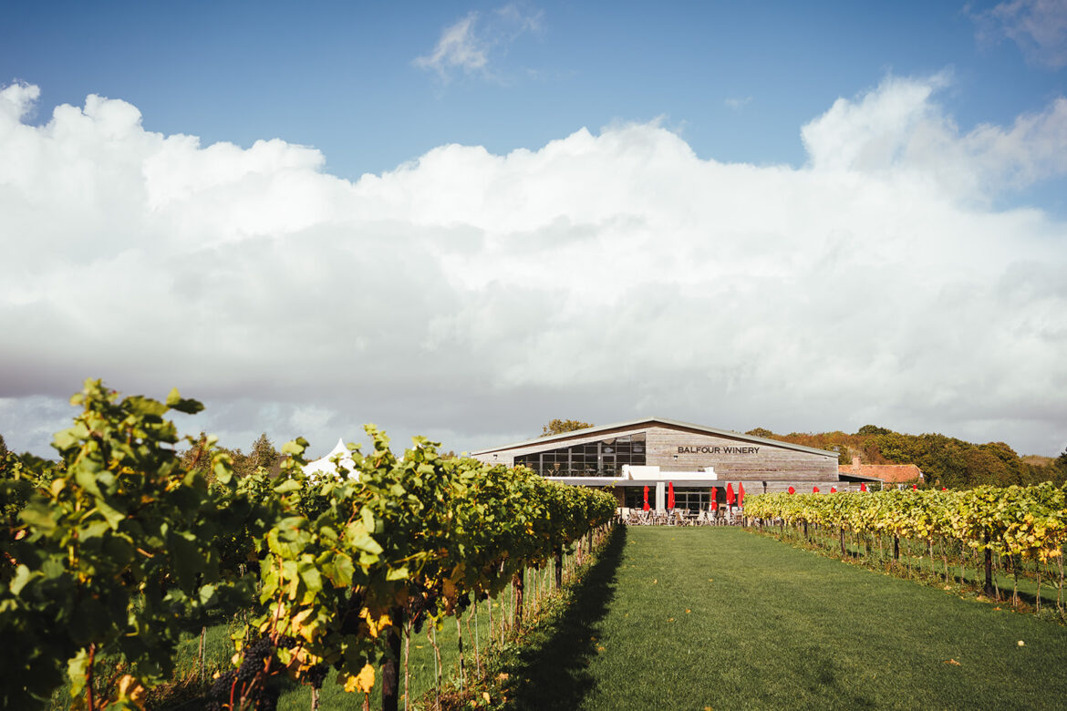 Clarkson hails English wine as ‘just better’ at The Farmer’s Dog Clarkson hails English wine as 'just better' at The Farmer’s Dog