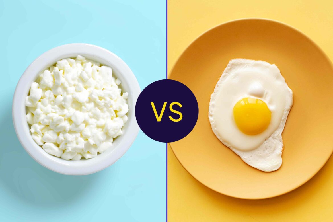 Which Is Higher in Protein?