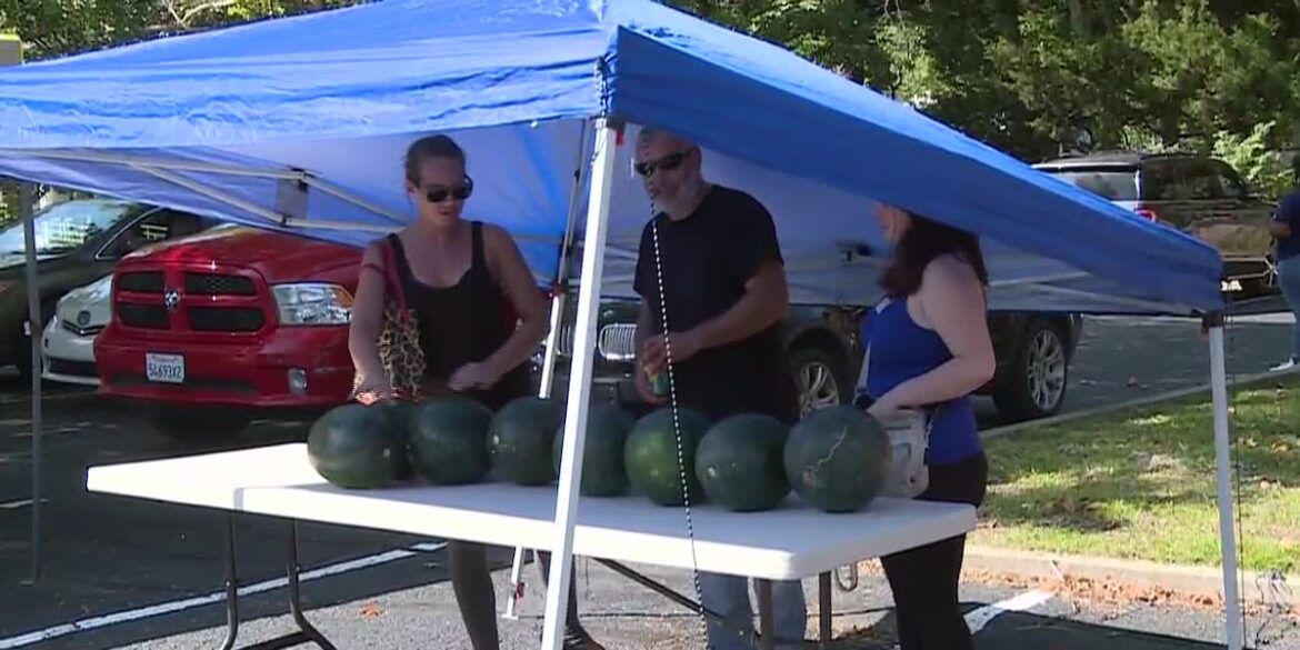 Farmer’s Market provides fresh food for the Washburn community