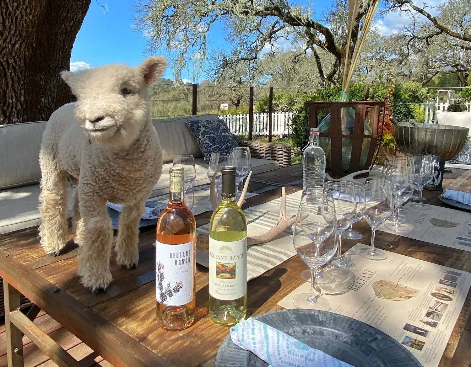 California winery Beltane Ranch Inn in Sonoma