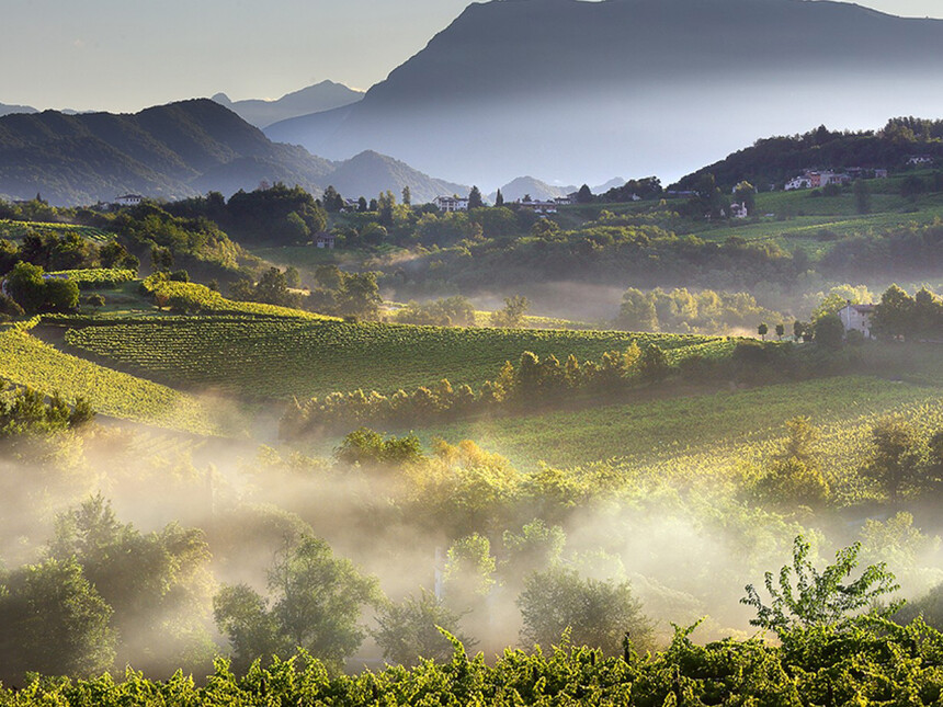 Gourmet shopping in the north of Italy Gourmet shopping in the north of Italy