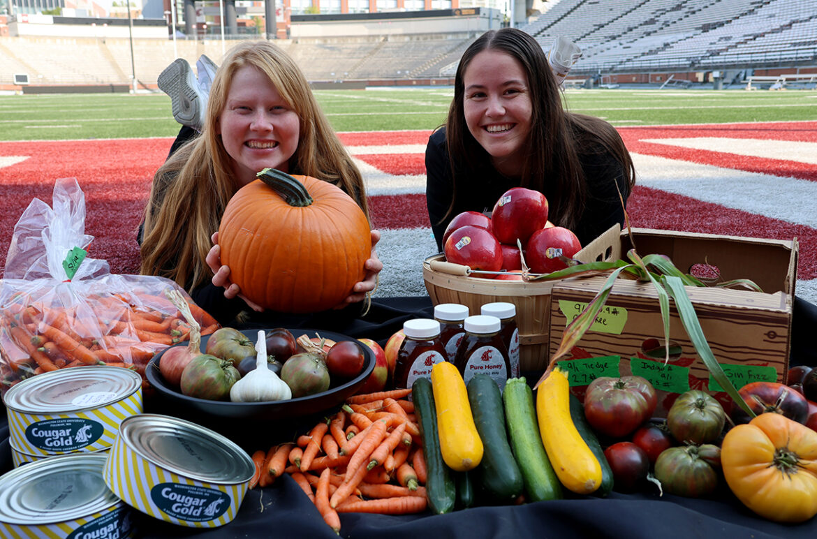 Apple Cup Harvest Market showcases WSU-made products | WSU Insider Two student interns laying in the end zone of Gesa Field with a collection of WSU foods and products.