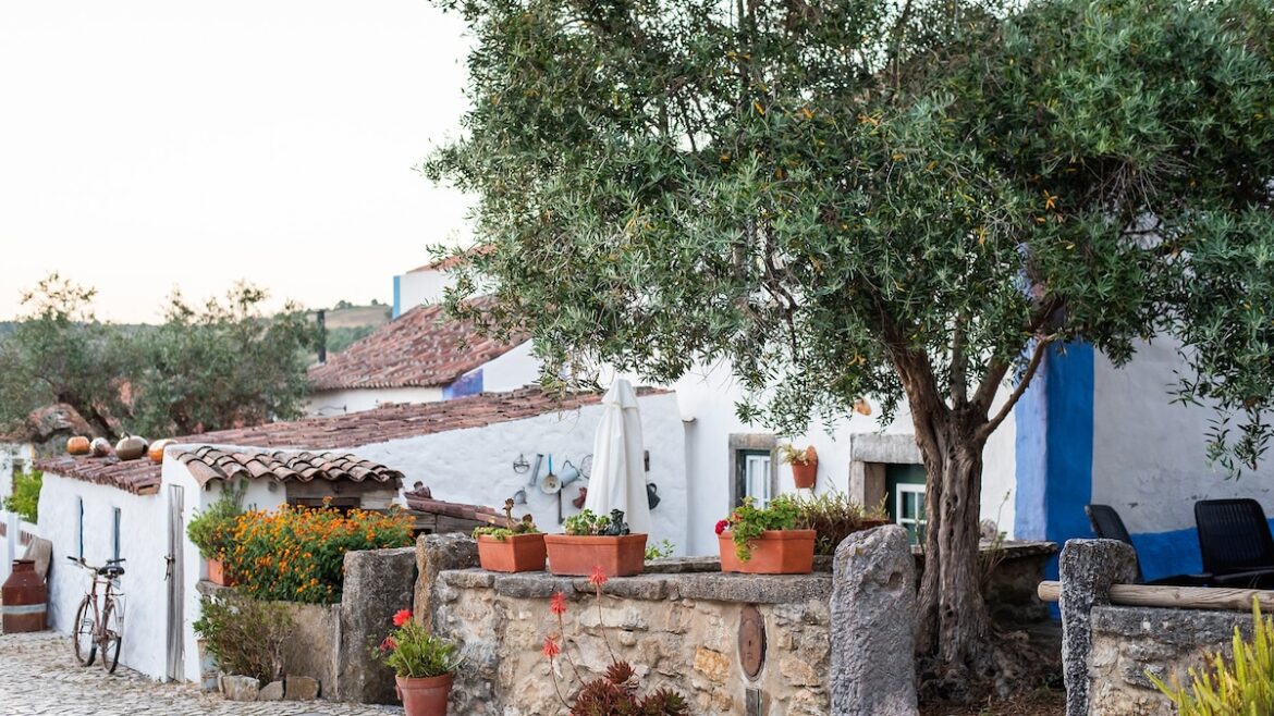 This wine region is on Lisbon's doorstep—here's how to explore it