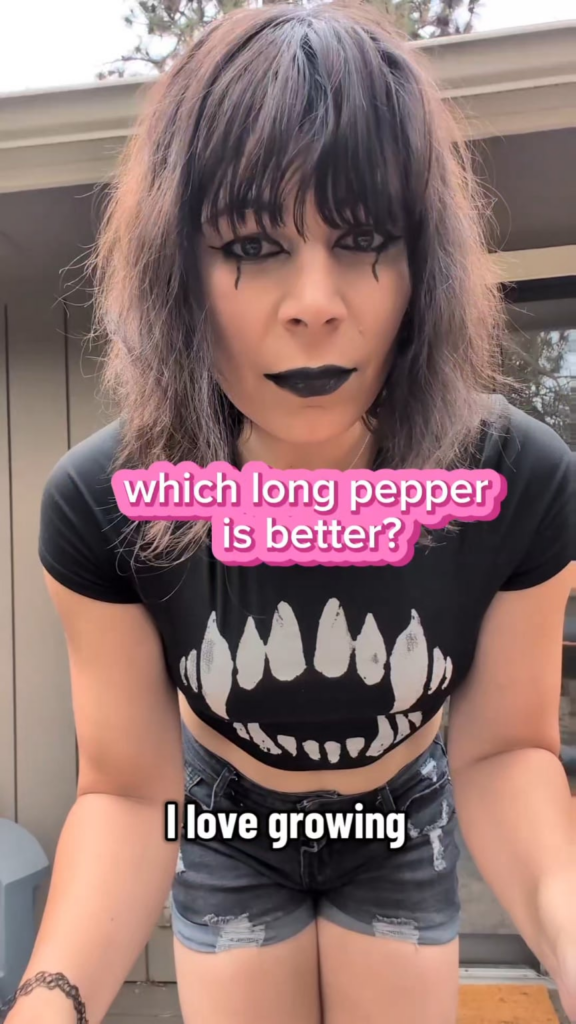 Long peppers are so cool